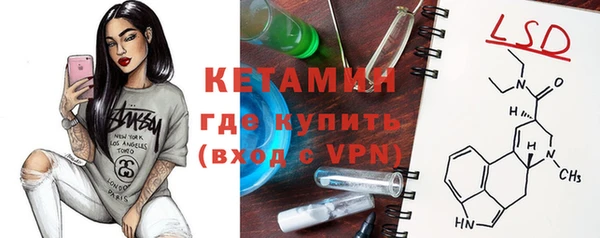 стаф Алексин