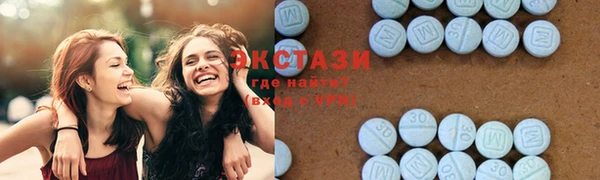 стаф Алексин