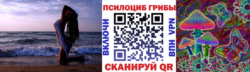 Псилоцибиновые грибы ЛСД  купить закладку  Мещовск 
