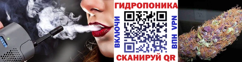 Конопля Amnesia  купить наркотик  Мещовск 